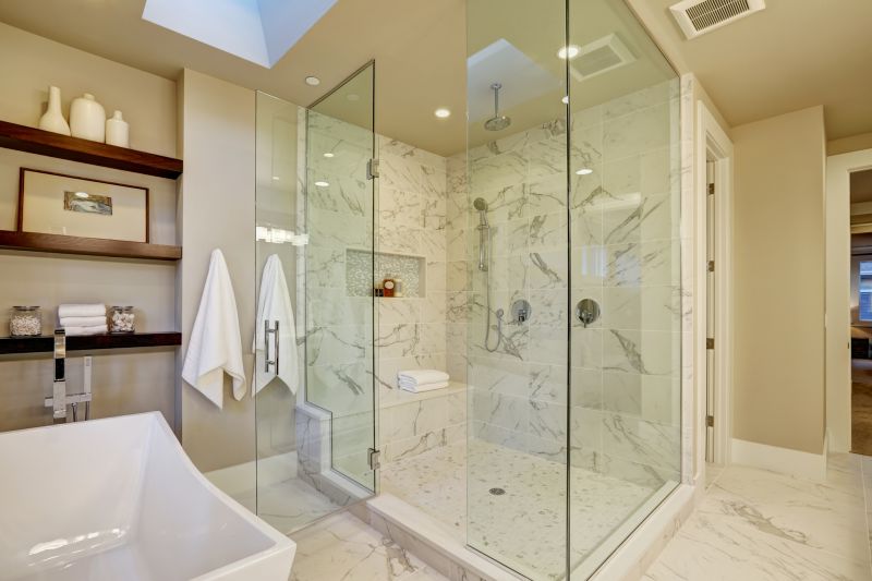 Sophisticated Shower Enclosure
